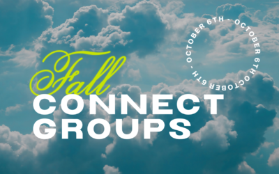 Fall Groups